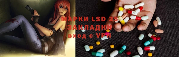 ПСИЛОЦИБИНОВЫЕ ГРИБЫ Арсеньев