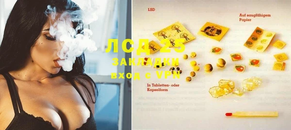 ПСИЛОЦИБИНОВЫЕ ГРИБЫ Арсеньев