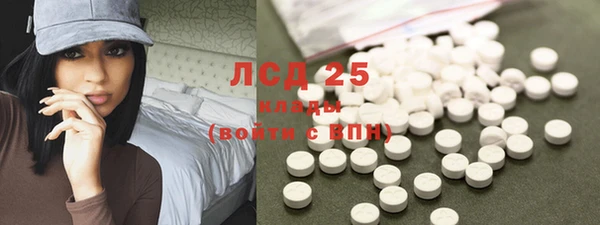 ПСИЛОЦИБИНОВЫЕ ГРИБЫ Арсеньев