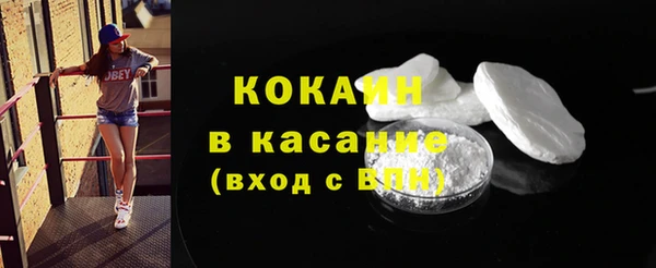 ПСИЛОЦИБИНОВЫЕ ГРИБЫ Арсеньев