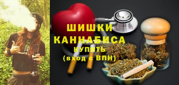 ПСИЛОЦИБИНОВЫЕ ГРИБЫ Арсеньев