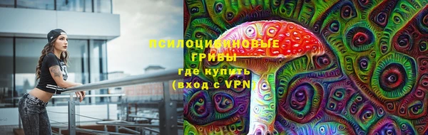 шишки Братск