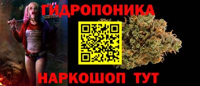 амф Ачхой-Мартан