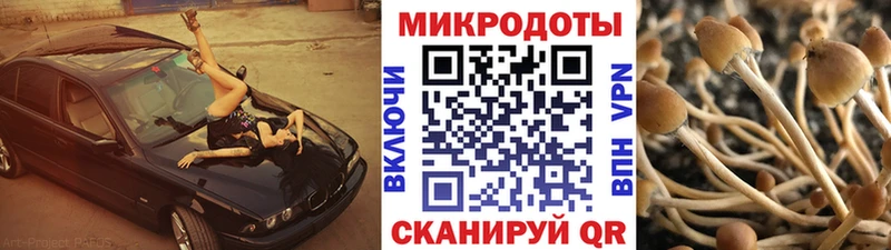 где найти наркотики  Всеволожск  Галлюциногенные грибы GOLDEN TEACHER 