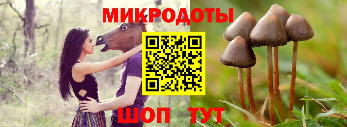 Галлюциногенные грибы Psilocybine cubensis  купить наркоту  Всеволожск  Псилоцибиновые грибы Psilocybe  Вход с VPN 